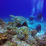 What are the best hotels near Chankanaab Adventure Beach Park?