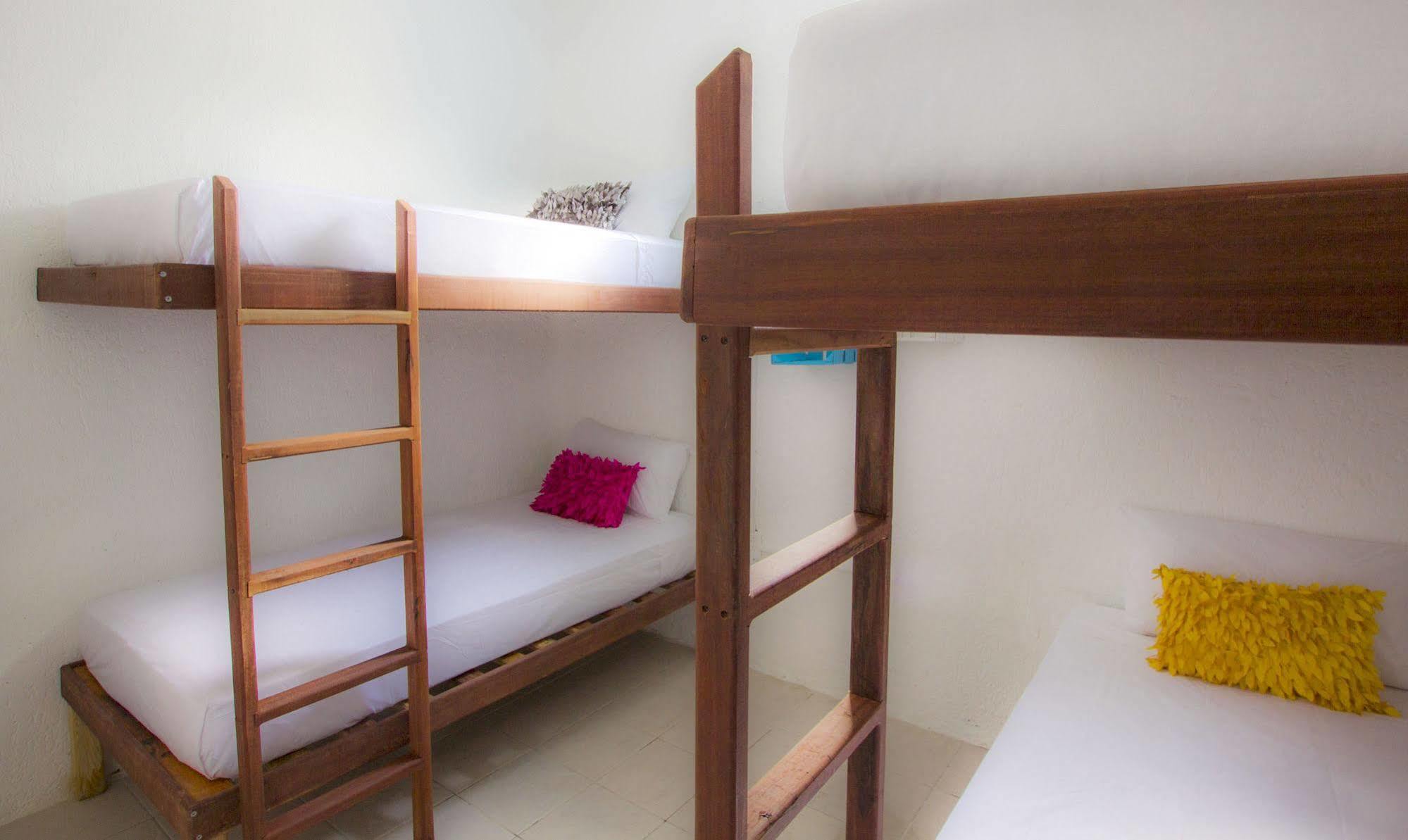 Hostel Beds Friends