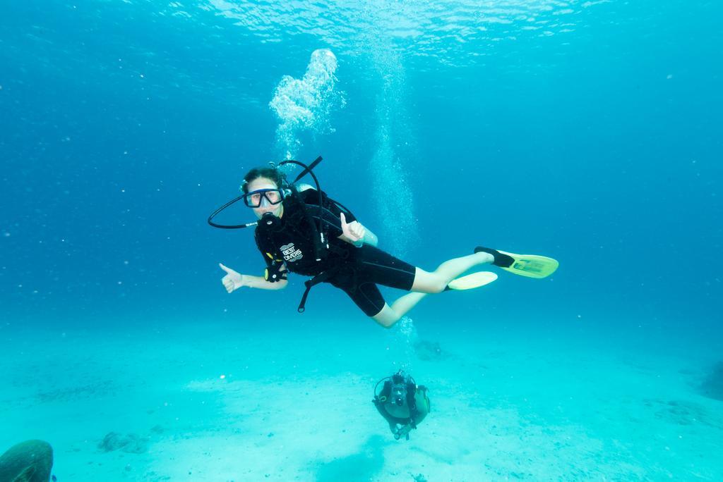 Quels Sont Les Meilleurs H\u00f4tels Pr\u00e8s De Chankanaab Adventure Beach Park\u00a0? * Cozumel