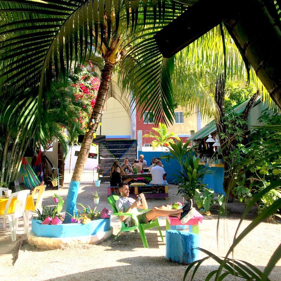 Quels Sont Les Meilleurs H\u00f4tels Pr\u00e8s De Chankanaab Adventure Beach Park\u00a0? Auberge de jeunesse