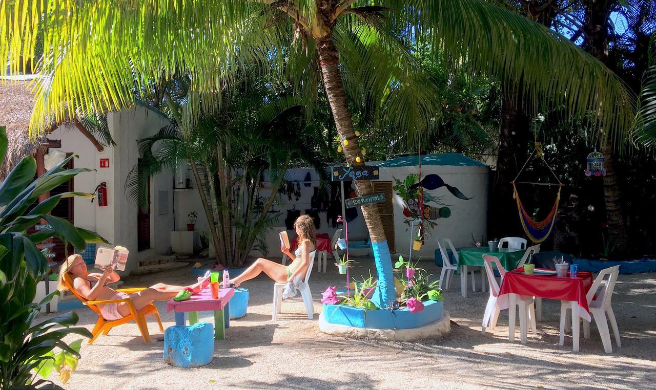 Quels Sont Les Meilleurs H\u00f4tels Pr\u00e8s De Chankanaab Adventure Beach Park\u00a0?
