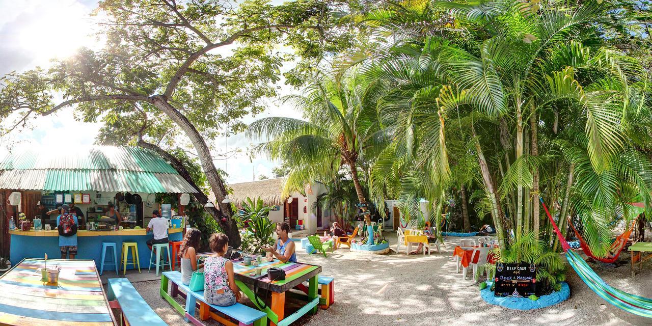 Quels Sont Les Meilleurs H\u00f4tels Pr\u00e8s De Chankanaab Adventure Beach Park\u00a0? Auberge de jeunesse