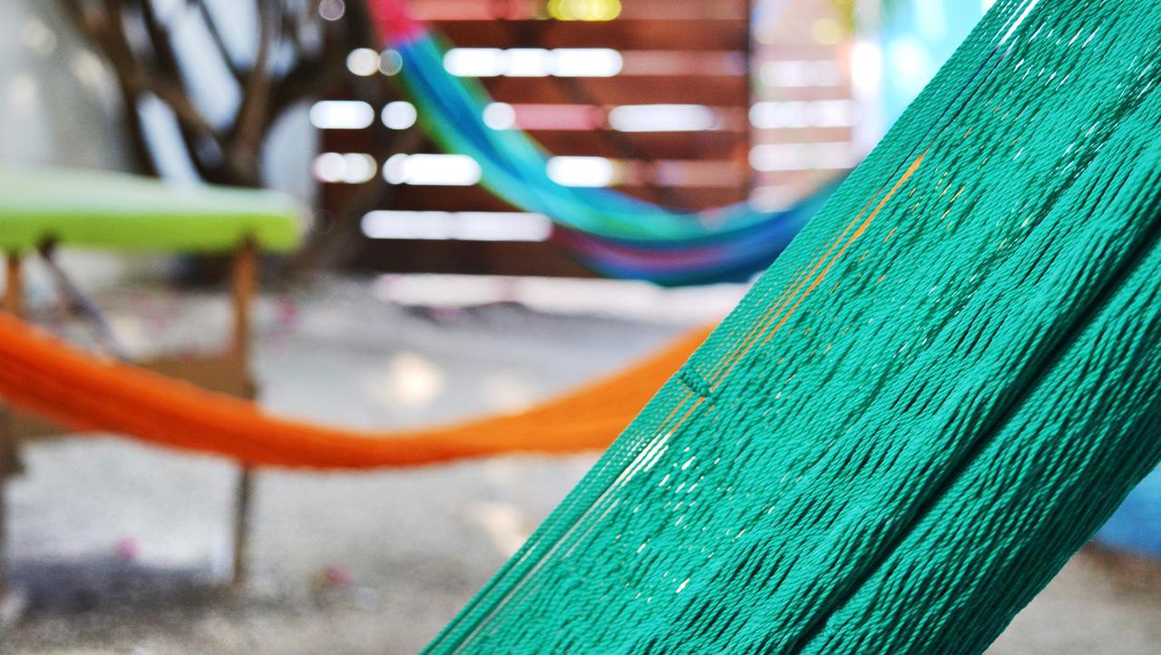 Quels Sont Les Meilleurs H\u00f4tels Pr\u00e8s De Chankanaab Adventure Beach Park\u00a0?