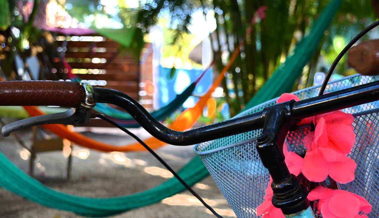 Auberge de jeunesse Quels Sont Les Meilleurs H\u00f4tels Pr\u00e8s De Chankanaab Adventure Beach Park\u00a0? Cozumel