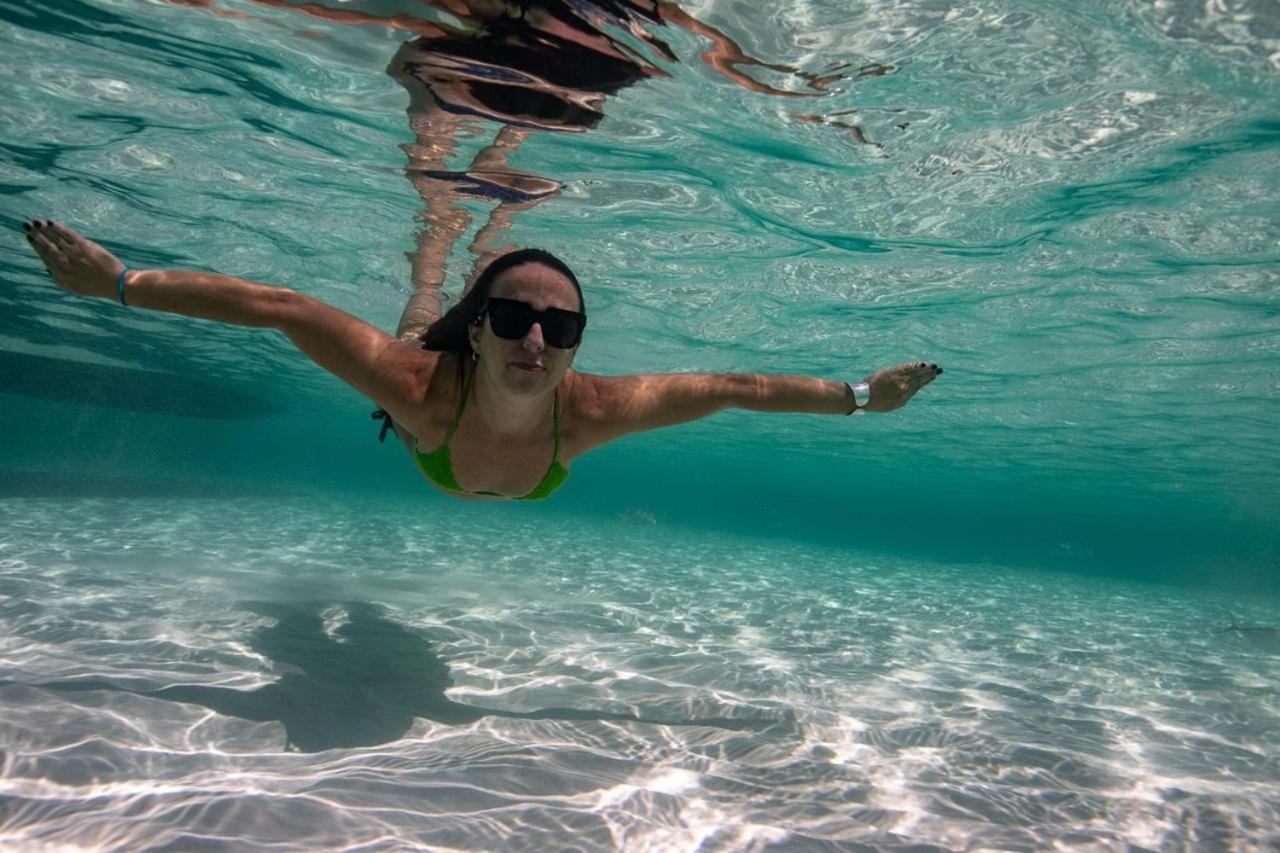 Quels Sont Les Meilleurs H\u00f4tels Pr\u00e8s De Chankanaab Adventure Beach Park\u00a0? Auberge de jeunesse *