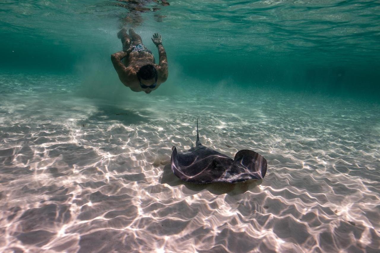 Quels Sont Les Meilleurs H\u00f4tels Pr\u00e8s De Chankanaab Adventure Beach Park\u00a0? * Cozumel